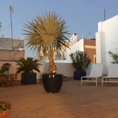 La Terraza De San Pedro Apartamento