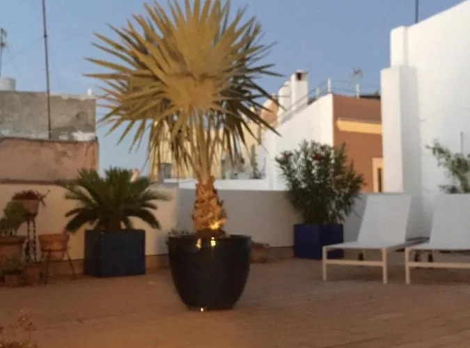 La Terraza De San Pedro Appartement