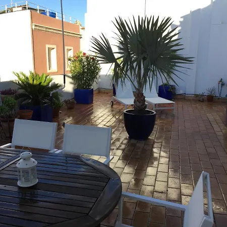 La Terraza De San Pedro
